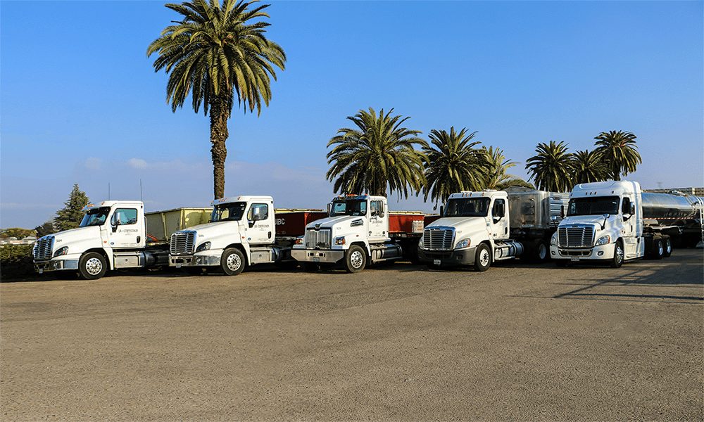Line of white J.B. Critchley tractor-trailers parked beneath palm trees