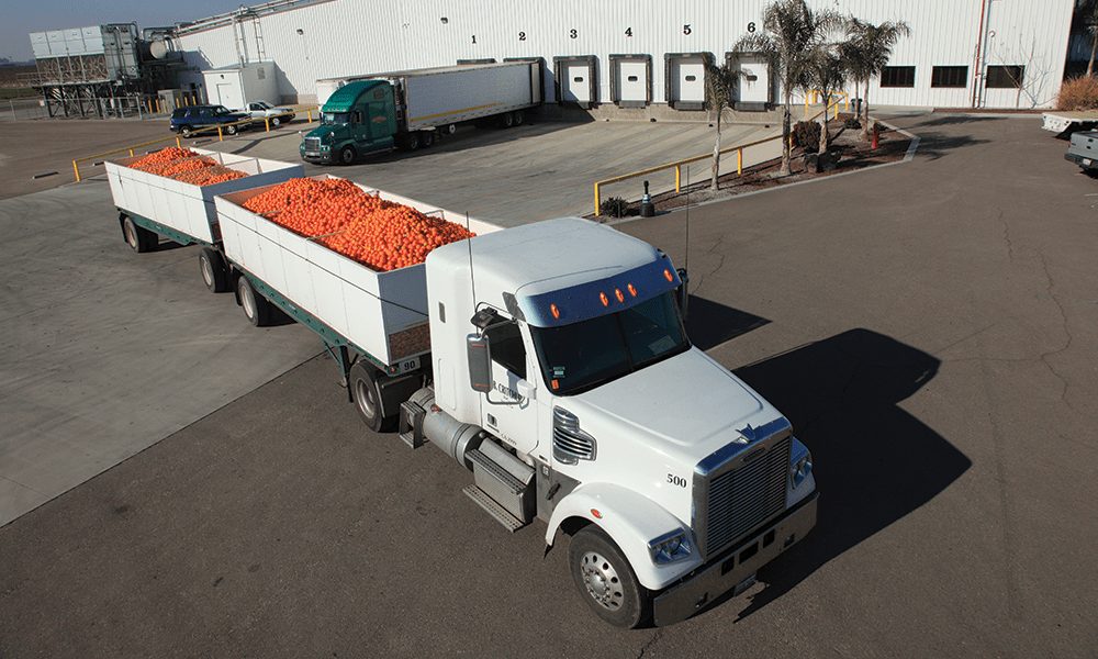 Aerial view of a J.B. Critchley truck hauling double trailers of carrots
