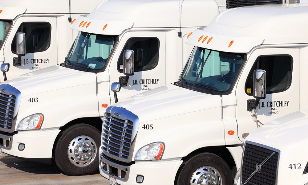 Close-up of numbered J.B. Critchley truck cabs